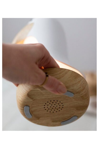 Lempa su garsiakalbiu | Lamp with Speaker - "White Bird" - Image 5